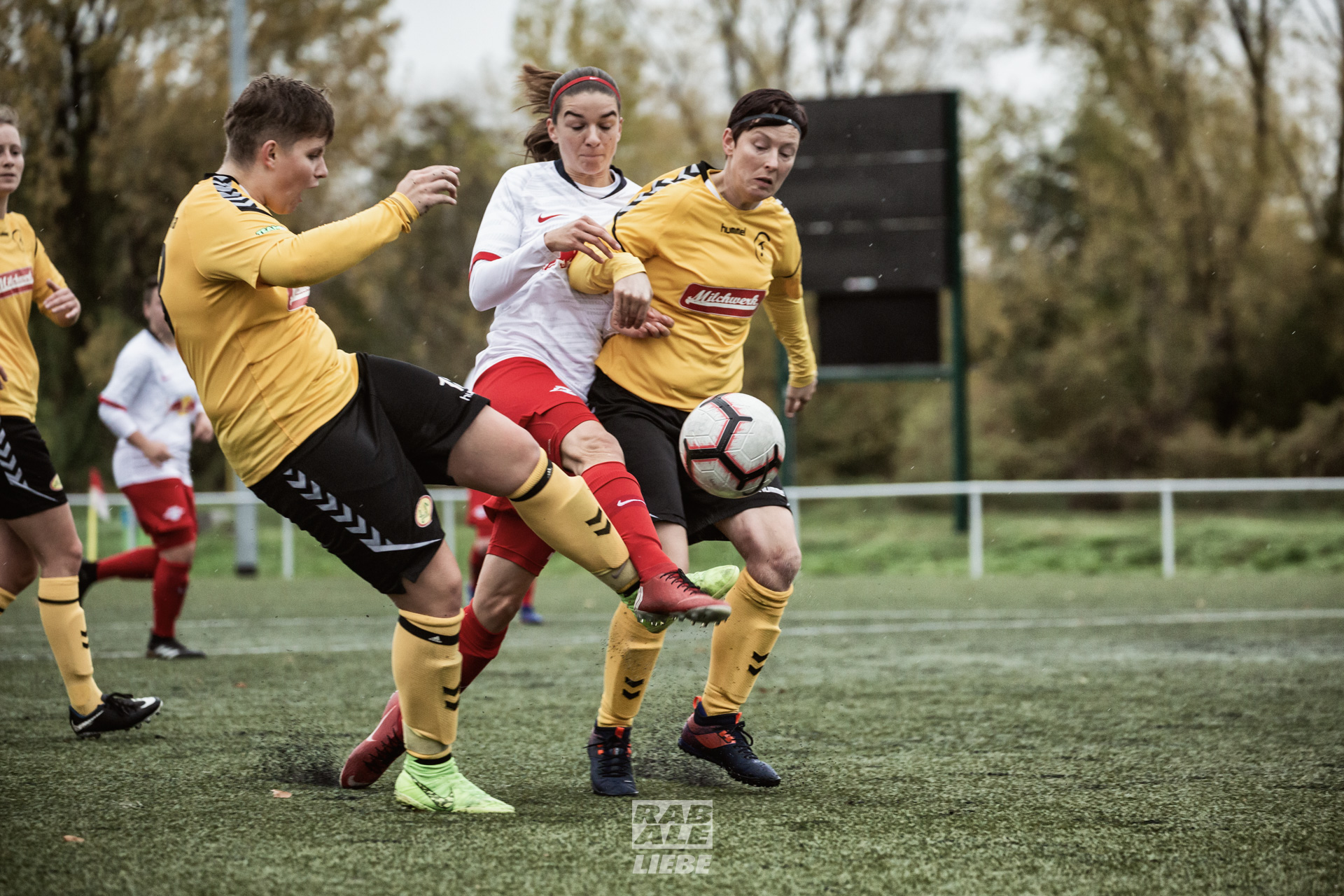 Landesliga Frauen: RB Leipzig II -vs- 1. FFC Fortuna Dresden