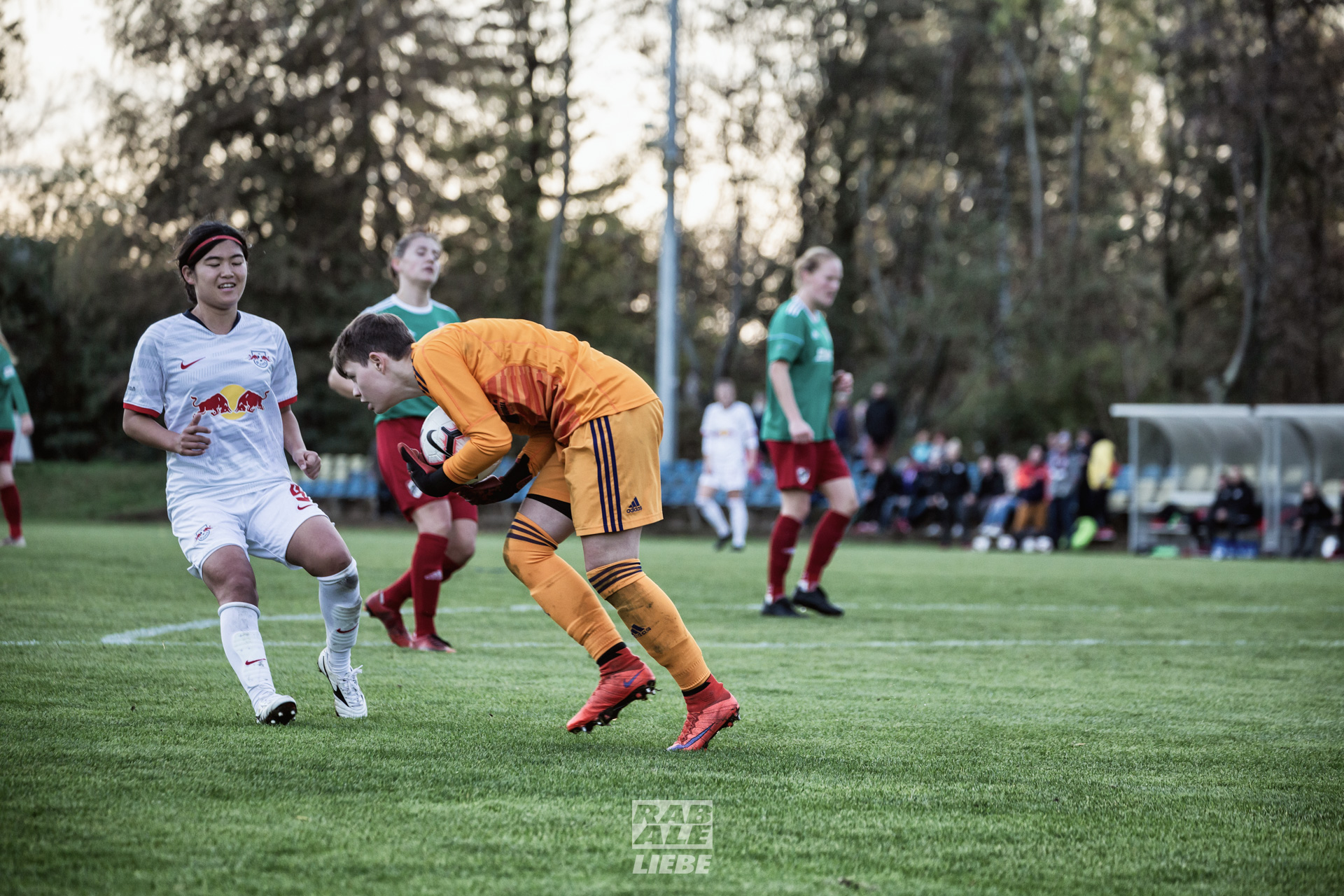 Regionalliga Nordost Frauen: RB Leipzig -vs- Magdeburger FFC