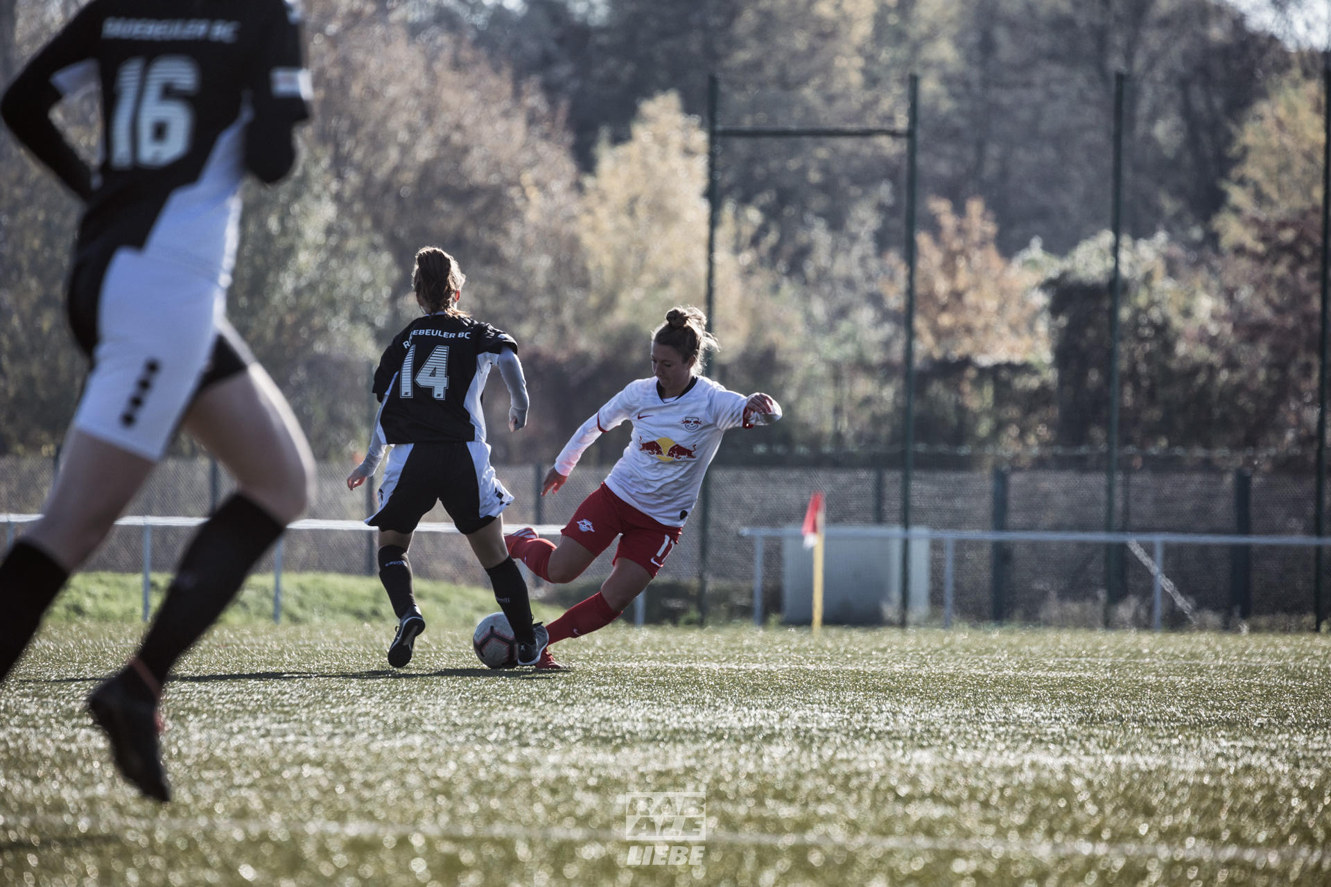 Landesliga Frauen: RB Leipzig II -vs- Radebeuler BC