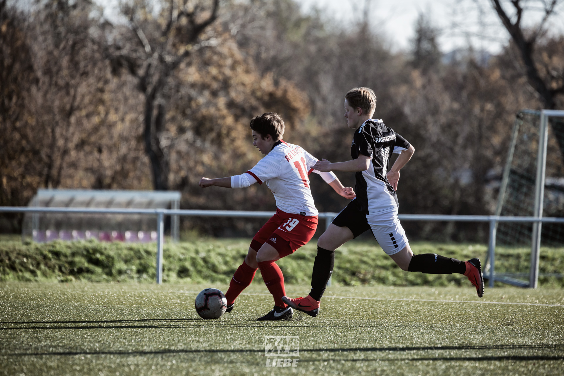 Landesliga Frauen: RB Leipzig II -vs- Radebeuler BC