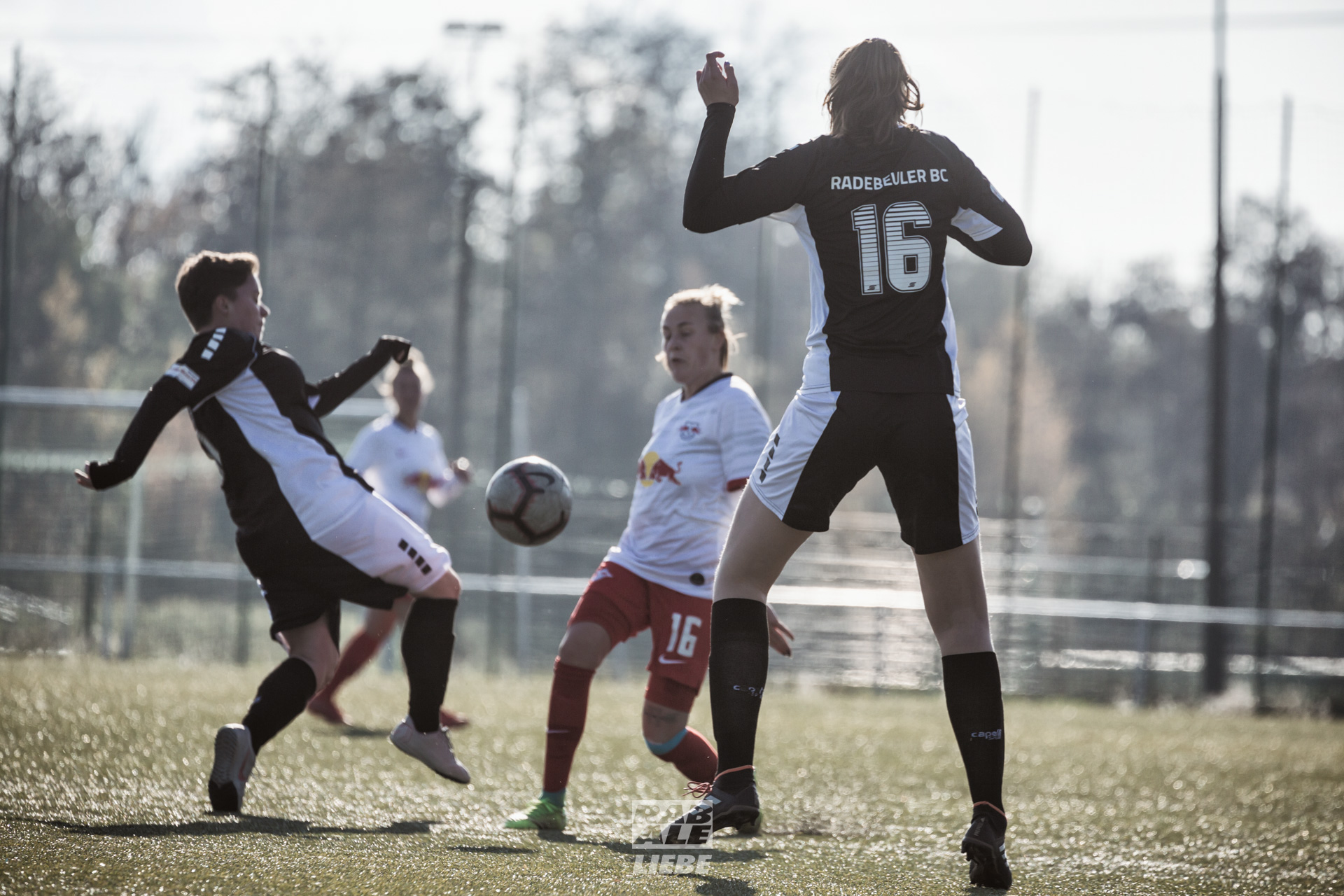 Landesliga Frauen: RB Leipzig II -vs- Radebeuler BC