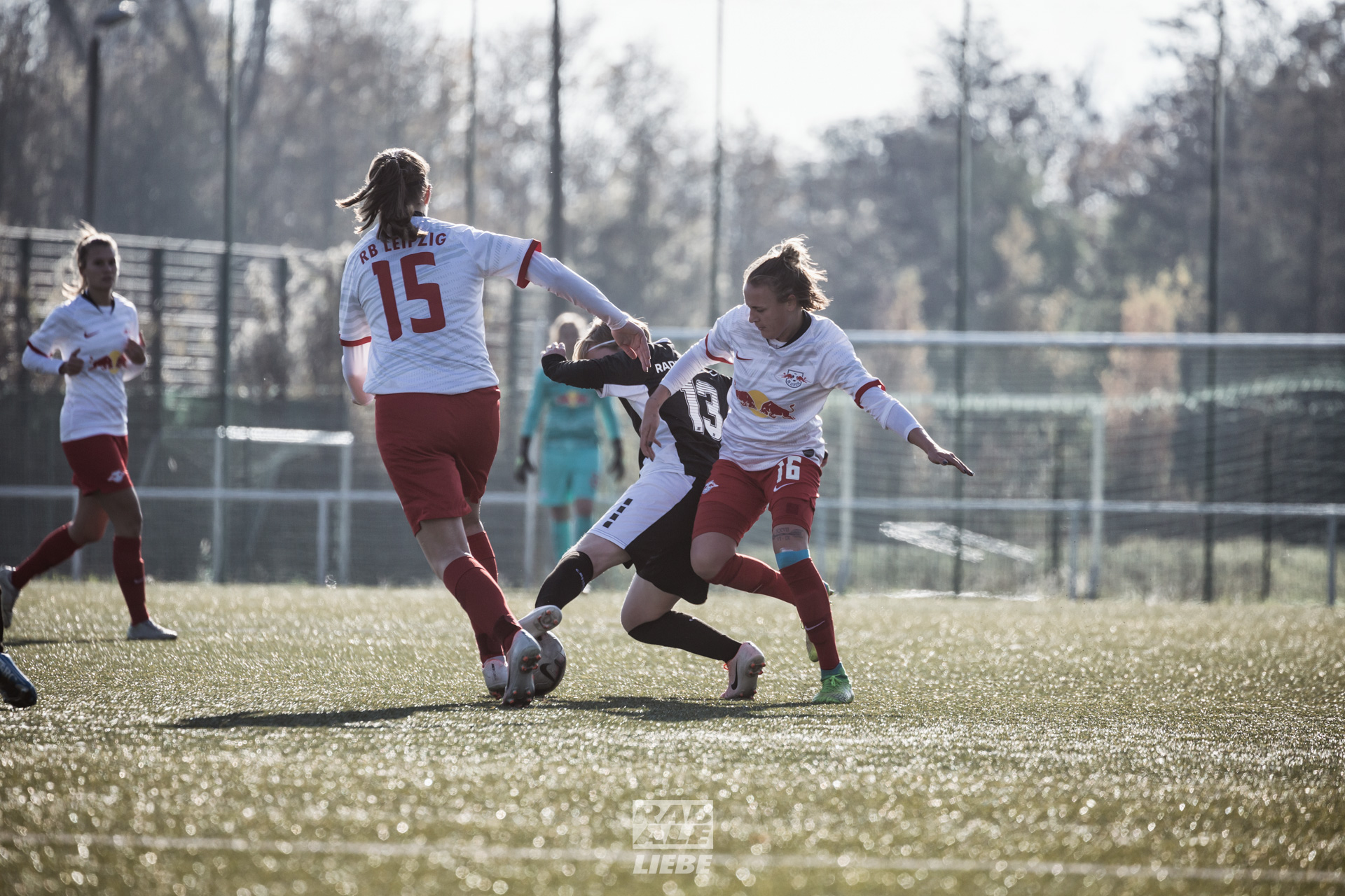 Landesliga Frauen: RB Leipzig II -vs- Radebeuler BC
