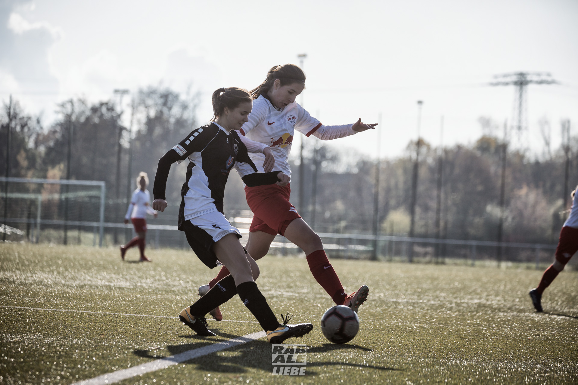 Landesliga Frauen: RB Leipzig II -vs- Radebeuler BC