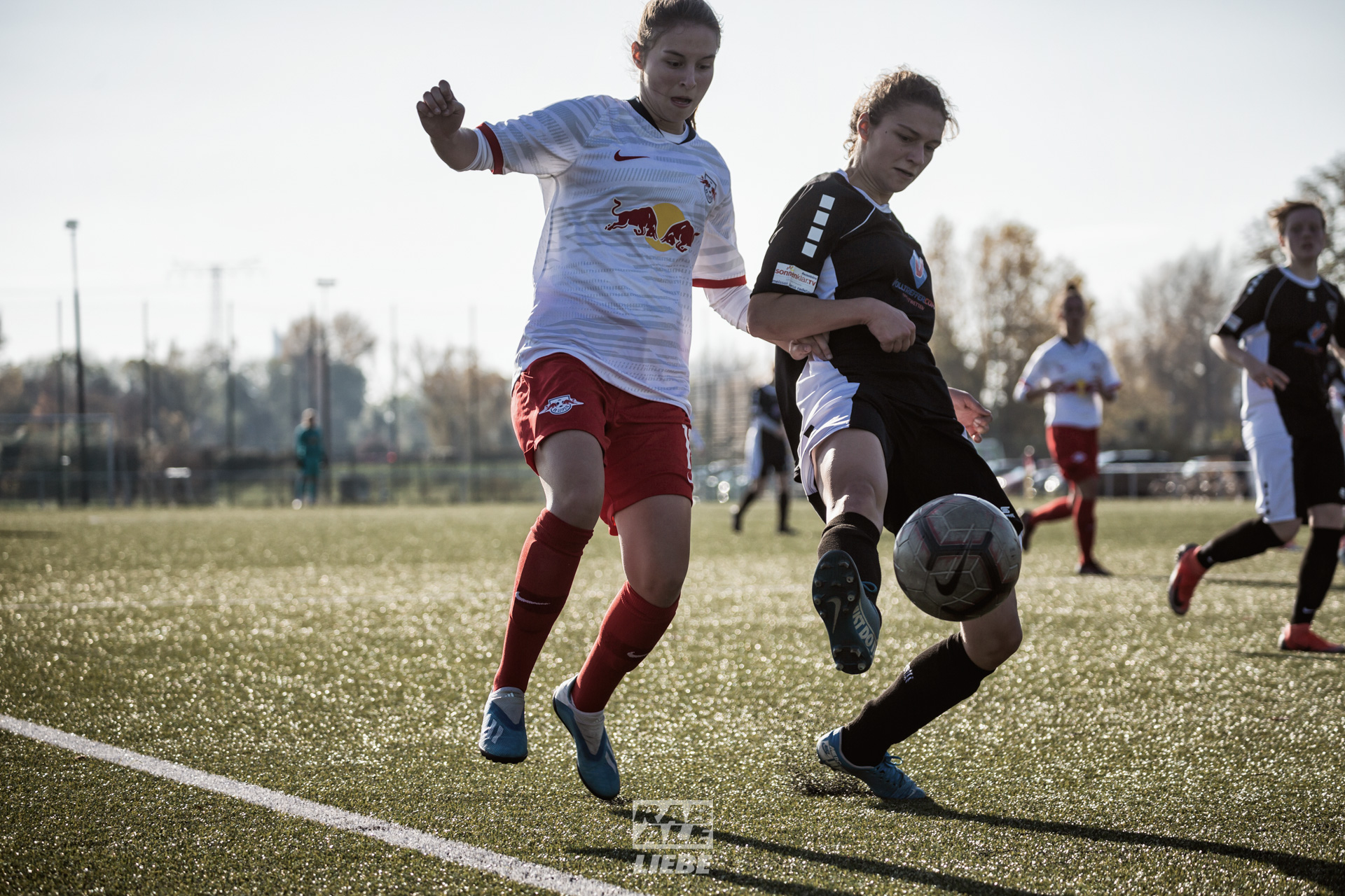 Landesliga Frauen: RB Leipzig II -vs- Radebeuler BC