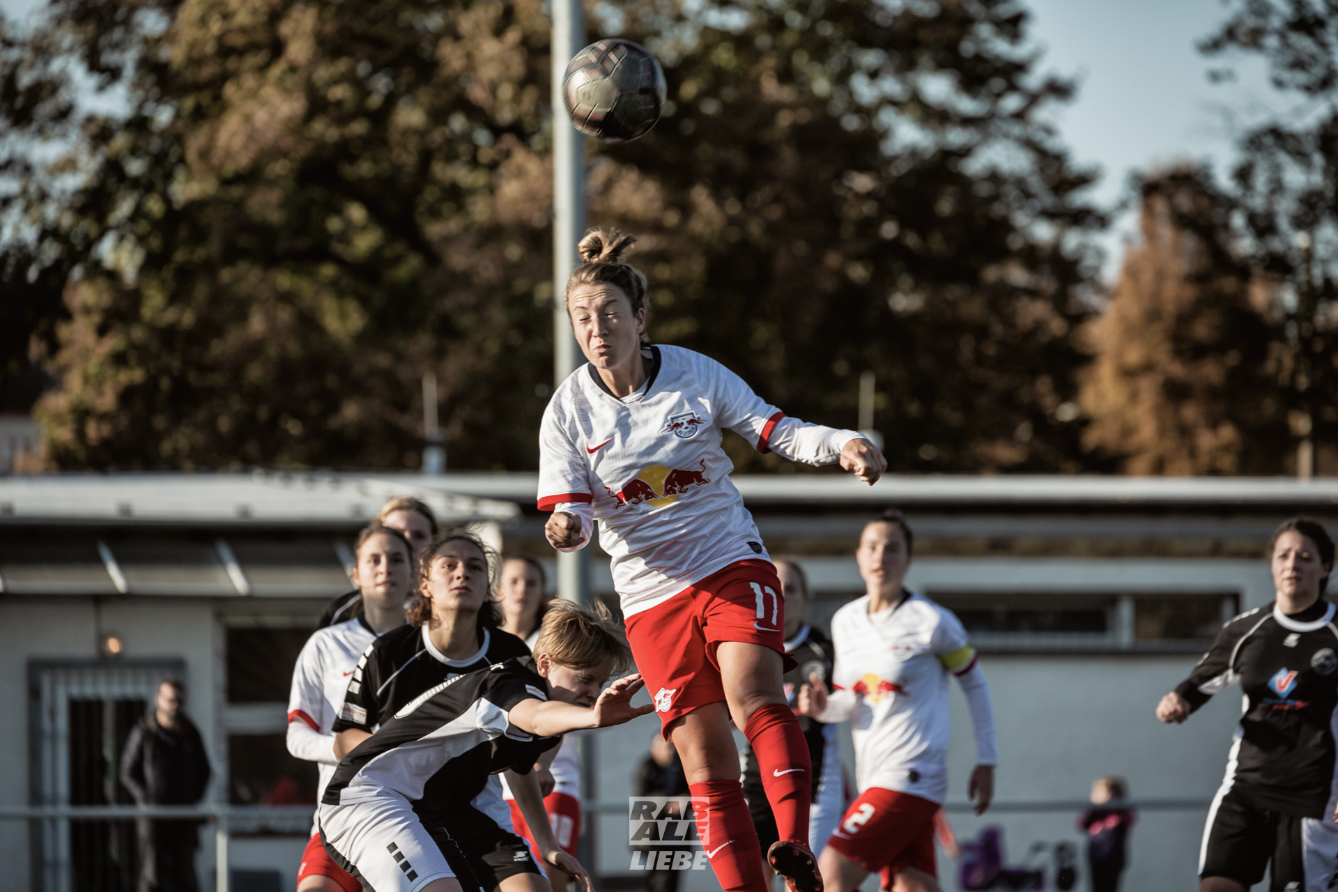 Landesliga Frauen: RB Leipzig II -vs- Radebeuler BC